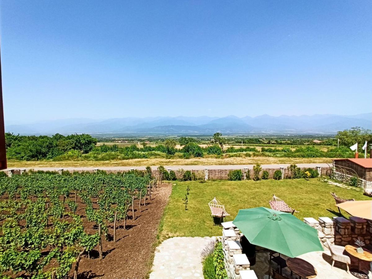 Chateau Tetri Bairagebi White Flags Kisiskhevi Екстер'єр фото