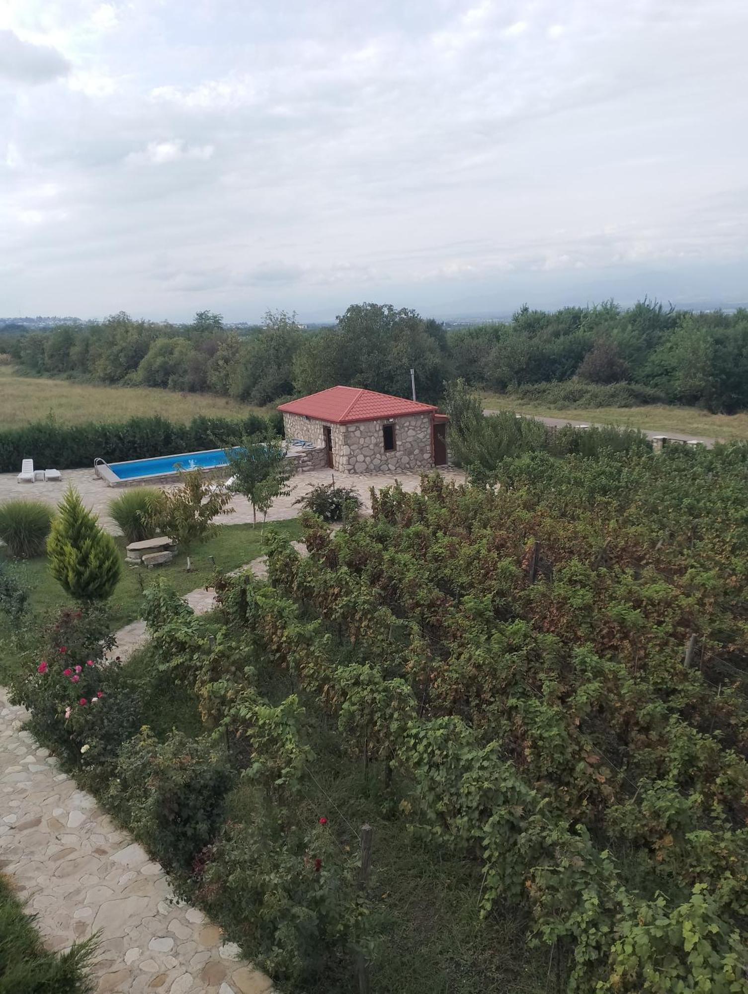Chateau Tetri Bairagebi White Flags Kisiskhevi Екстер'єр фото